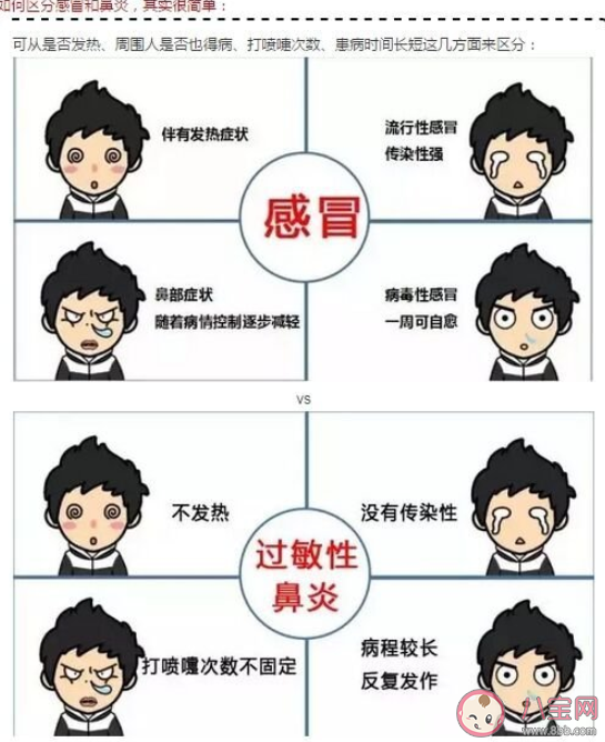 感冒和鼻炎怎么區分 怎么判斷是普通感冒還是過敏性鼻炎