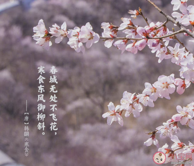 古人筆下的清明是什么樣 古人是如何過清明節(jié)的