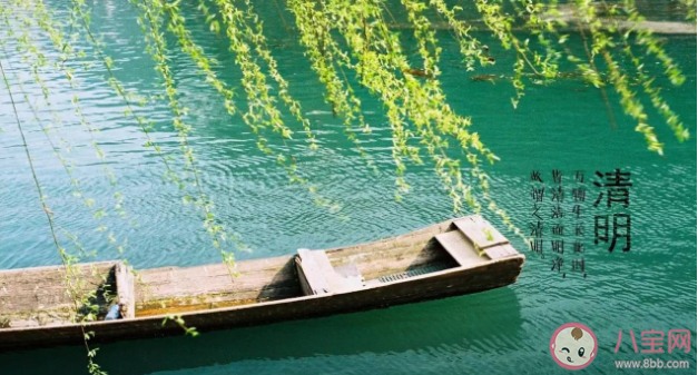 清明節為什么要插柳 插柳是將柳條插在哪里