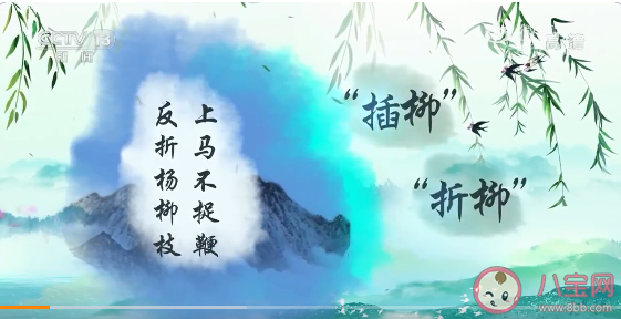 清明節為什么要插柳 插柳是將柳條插在哪里