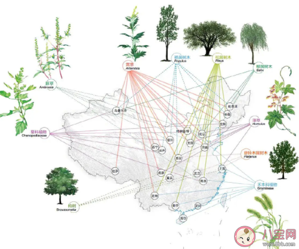 哪些花容易引起花粉過敏 花粉過敏有哪些注意事項 哪些花容易引起花粉過敏 花粉過敏有哪些注意事項