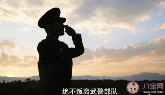 軍旅題材劇為何受歡迎 哪些元素是你特別看重的 軍旅題材劇為何受歡迎 哪些元素是你特別看重的