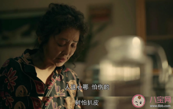 《親愛的小孩》高彩屏是怎樣的人 高彩屏是個好婆婆嗎 《親愛的小孩》高彩屏是怎樣的人 高彩屏是個好婆婆嗎