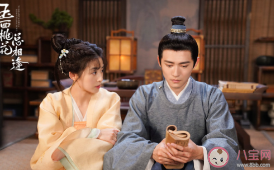 《玉面桃花總相逢》若柒是什么身份 傅太師為什么派人殺了若柒