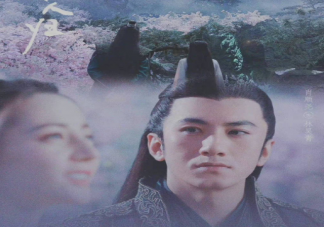 魚和兄長不可兼得是什么意思 林昊青和紀云禾有多好磕