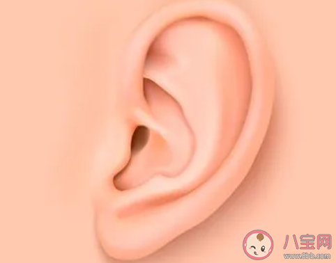 耳屎都有哪些好處 耳屎會(huì)自動(dòng)脫落嗎 耳屎都有哪些好處 耳屎會(huì)自動(dòng)脫落嗎