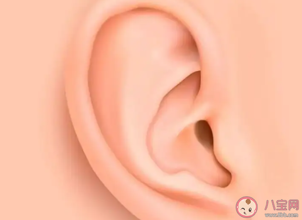 耳屎都有哪些好處 耳屎會(huì)自動(dòng)脫落嗎 耳屎都有哪些好處 耳屎會(huì)自動(dòng)脫落嗎