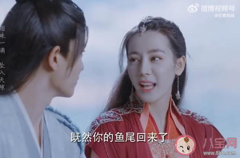 《恰似故人歸》紀云禾結局為什么有魚尾 紀云禾結局是怎么復活的