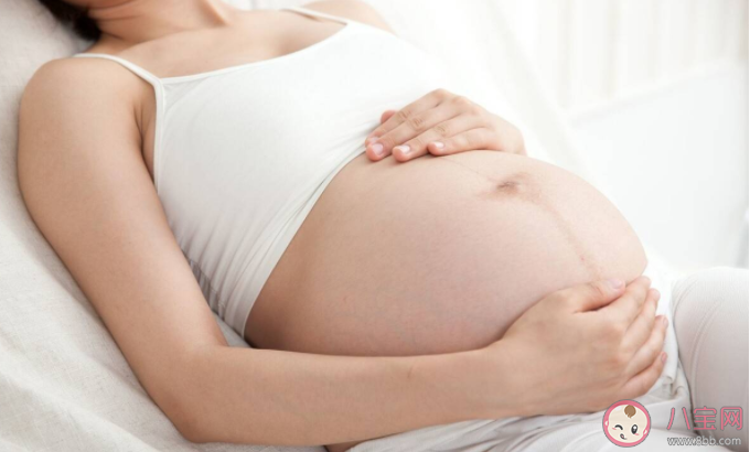 養寵物與懷孕真的不可兼得嗎 要做對哪些事情 養寵物與懷孕真的不可兼得嗎 要做對哪些事情