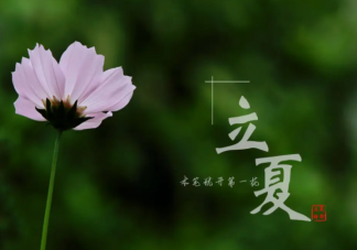 立夏就是真正入夏嗎 立夏之后就是夏天了嗎