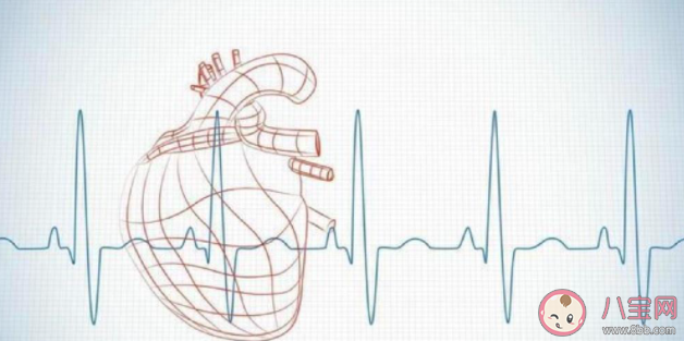 心跳速度真的會影響壽命嗎 高心率會有什么影響