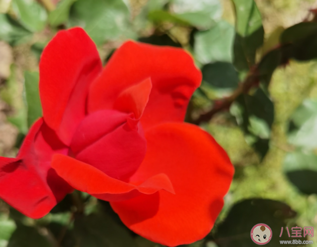 有哪些趁青春正好一定要做的事 青春的時(shí)候應(yīng)該做哪些事情