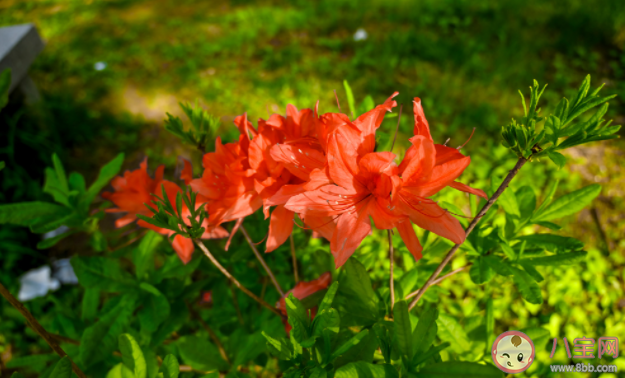 有哪些趁青春正好一定要做的事 青春的時(shí)候應(yīng)該做哪些事情