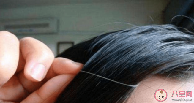 經常拔頭發會越來越禿 經常控制不住自己拔頭發是病嗎 經常拔頭發會越來越禿 經常控制不住自己拔頭發是病嗎