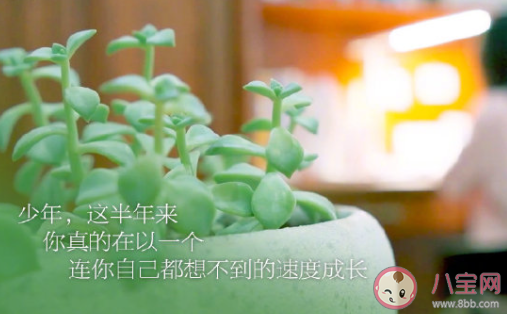 哪句話支撐你拼過整個高三 給高三學子加油的一句話 哪句話支撐你拼過整個高三 給高三學子加油的一句話