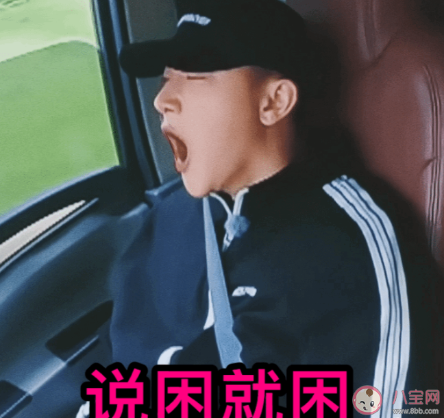 《新游記》第五期觀后感 《新游記》第五期好看嗎