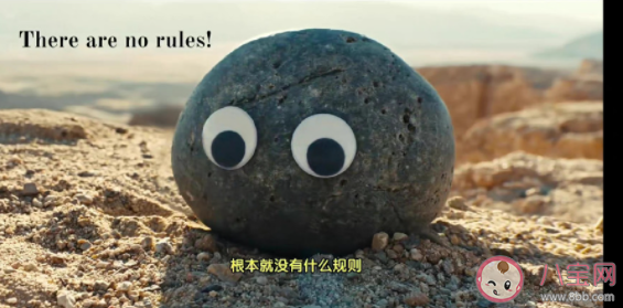 《瞬息全宇宙》的石頭為什么感人 兩塊石頭無聲對話有什么寓意