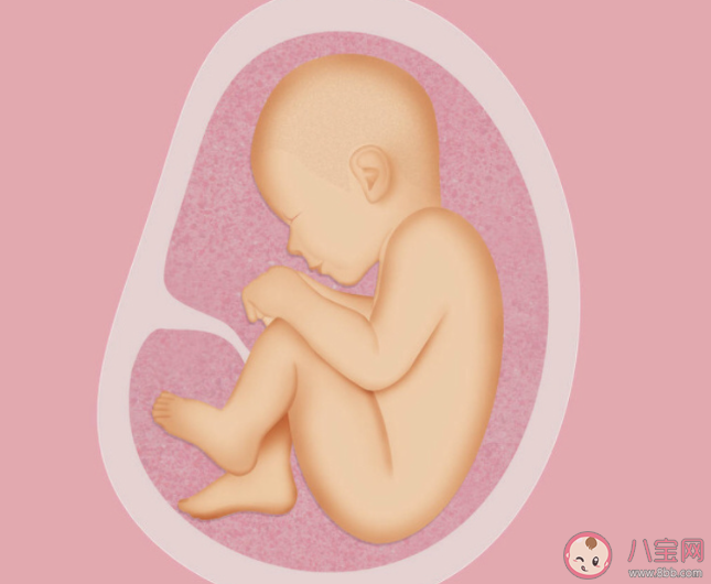 孕婦肚子越大胎兒也就越大嗎 胎兒的大小和什么有關 孕婦肚子越大胎兒也就越大嗎 胎兒的大小和什么有關