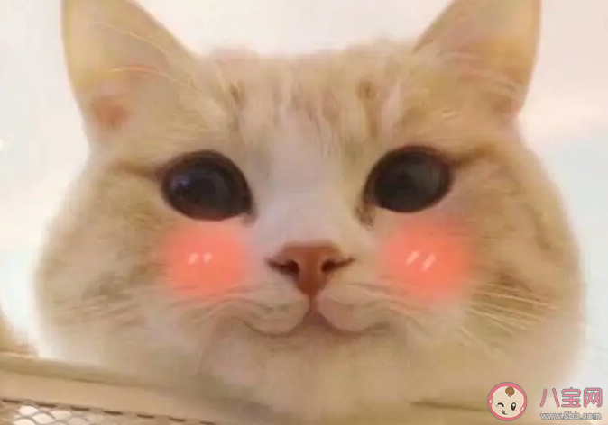 一見鐘情是我吹不散的執著是什么歌 《臉紅接收處》完整版歌詞在線聽歌