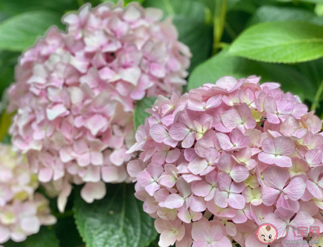 如何克服三分鐘熱度 總是三分鐘熱度該怎么辦 如何克服三分鐘熱度 總是三分鐘熱度該怎么辦