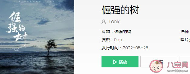 tank新歌《倔強的樹》歌詞是什么 倔強的樹歌詞信息介紹