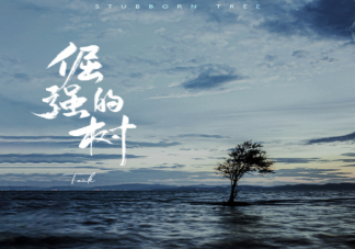 tank新歌《倔強的樹》歌詞是什么 倔強的樹歌詞信息介紹