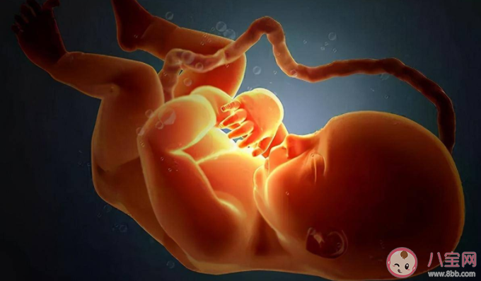 胎兒在母體內(nèi)會(huì)排便嗎 胎兒的尿液糞便都排到哪里了 胎兒在母體內(nèi)會(huì)排便嗎 胎兒的尿液糞便都排到哪里了