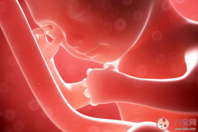 胎兒在母體內(nèi)會(huì)排便嗎 胎兒的尿液糞便都排到哪里了 胎兒在母體內(nèi)會(huì)排便嗎 胎兒的尿液糞便都排到哪里了