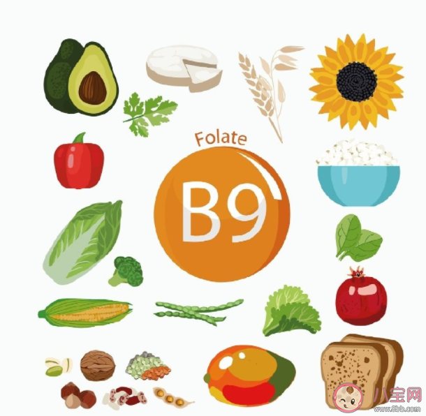 已經(jīng)孕12周了葉酸還要繼續(xù)吃嗎 孕期葉酸要吃多久 已經(jīng)孕12周了葉酸還要繼續(xù)吃嗎 孕期葉酸要吃多久