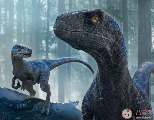 《侏羅紀(jì)世界3》彩蛋是什么 《侏羅紀(jì)世界3》評價(jià)怎么樣