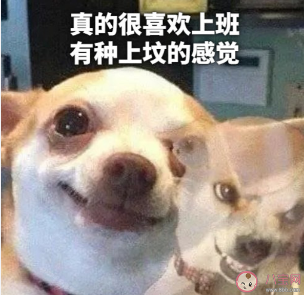 真的很喜歡造句大全 怎么用真的很喜歡造句