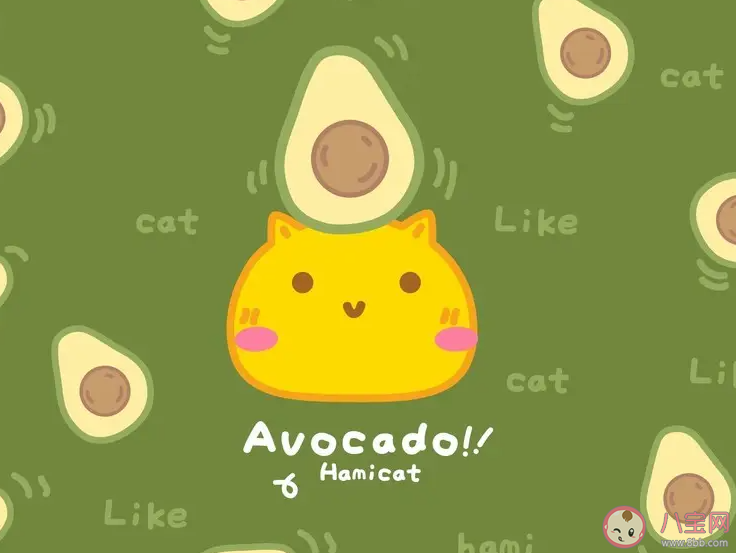 如何看待流量為王的時(shí)代 內(nèi)容和流量哪個(gè)更重要