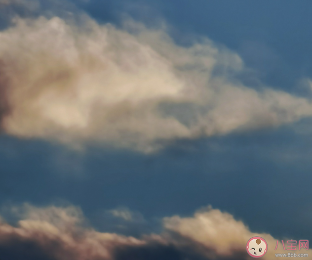 童年的夢境可笑的就像是烏云隱藏著是什么歌 《媽媽的話》完整版歌詞在線聽歌 童年的夢境可笑的就像是烏云隱藏著是什么歌 《媽媽的話》完整版歌詞在線聽歌