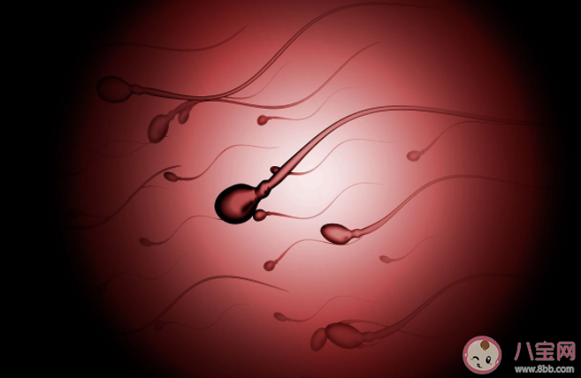 捐精中途停止需要賠償嗎 捐精需要多長時間