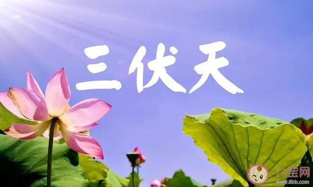 2022三伏天一共多少天 為啥三伏天有的是30天有的是40天