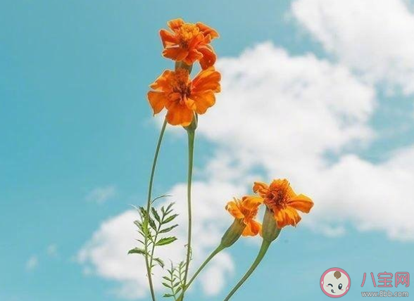 如何填報一個有潛力的志愿 填報高考志愿前要準備什么