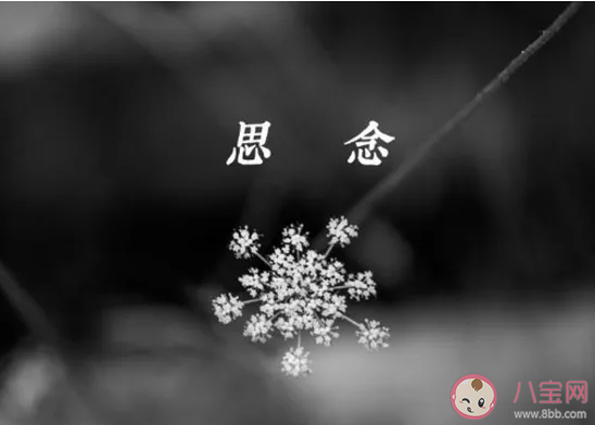 你走過的地方只剩下思念難捱是什么歌 《哪里都是你》完整版歌詞在線聽歌 你走過的地方只剩下思念難捱是什么歌 《哪里都是你》完整版歌詞在線聽歌