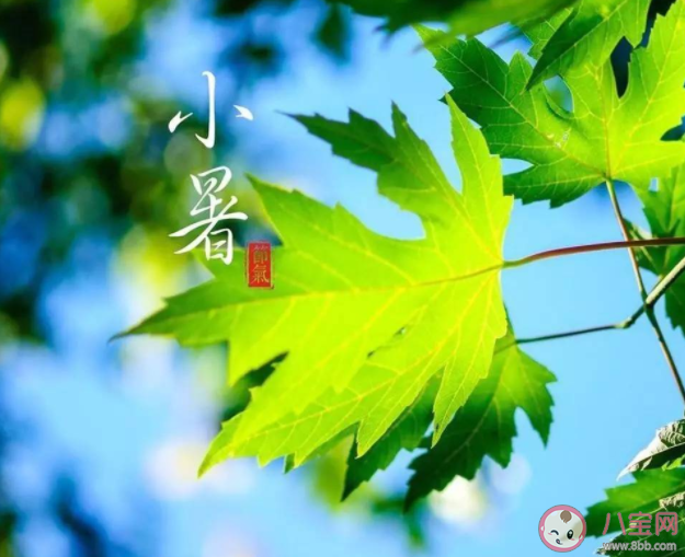 小暑節氣海報優秀行業文案賞析 小暑節氣海報文案句子2022