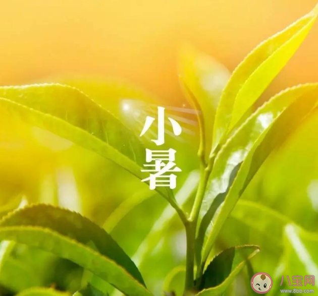 小暑節氣海報優秀行業文案賞析 小暑節氣海報文案句子2022