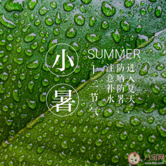 小暑節氣海報優秀行業文案賞析 小暑節氣海報文案句子2022