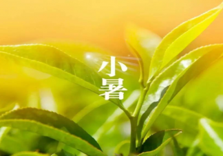小暑節氣海報優秀行業文案賞析 小暑節氣海報文案句子2022