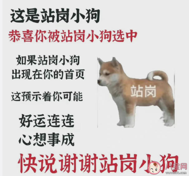 站崗小狗是什么梗什么意思 站崗小狗表情包合集