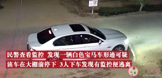 如何評價開豪車偷西瓜行為 為什么會開豪車偷西瓜