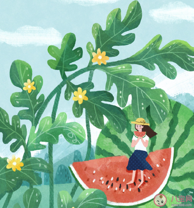 2022小暑節氣早安心語祝福語句子 2022小暑節氣說早安的問候語說說