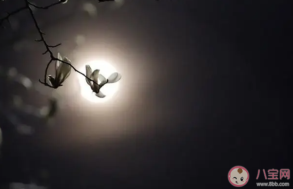 有一顆緊緊依靠著你的心一瞬間落空是什么歌 《落空》完整版歌詞在線聽歌 有一顆緊緊依靠著你的心一瞬間落空是什么歌 《落空》完整版歌詞在線聽歌