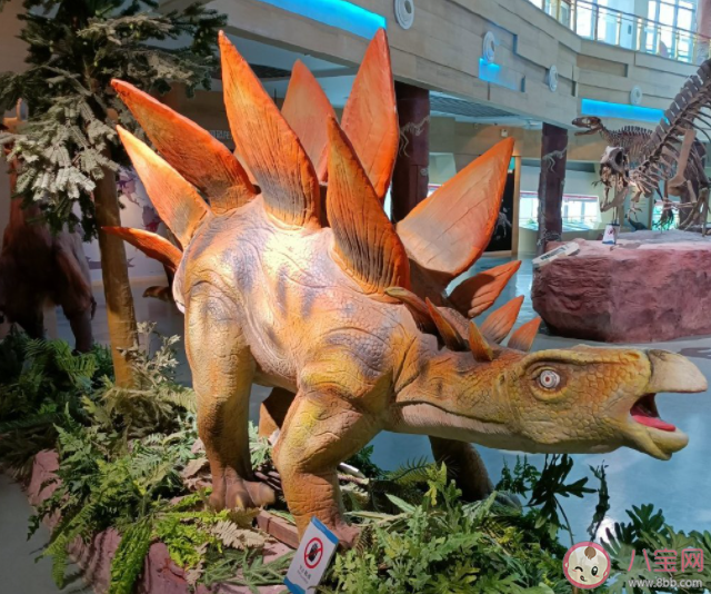 旅行給孩子帶來的幫助有哪些 你會帶孩子出去旅行嗎