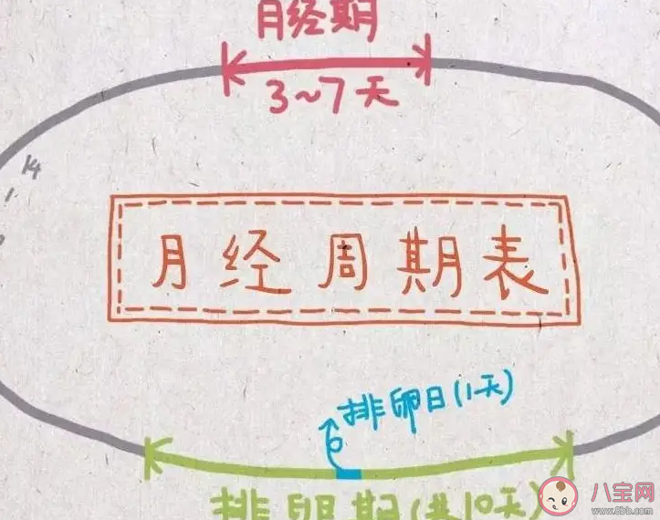 懷孕了還會(huì)排卵嗎 懷孕后多久能恢復(fù)排卵 懷孕了還會(huì)排卵嗎 懷孕后多久能恢復(fù)排卵