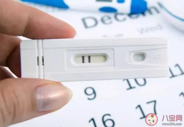 懷孕了還會(huì)排卵嗎 懷孕后多久能恢復(fù)排卵 懷孕了還會(huì)排卵嗎 懷孕后多久能恢復(fù)排卵