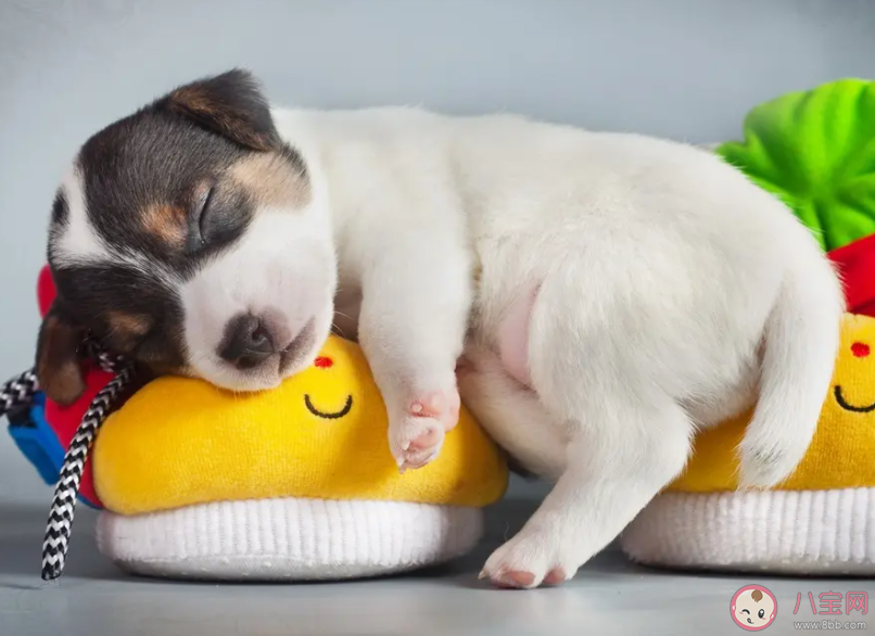 為什么有時睡覺會越睡越累 怎樣才能睡得舒服 為什么有時睡覺會越睡越累 怎樣才能睡得舒服