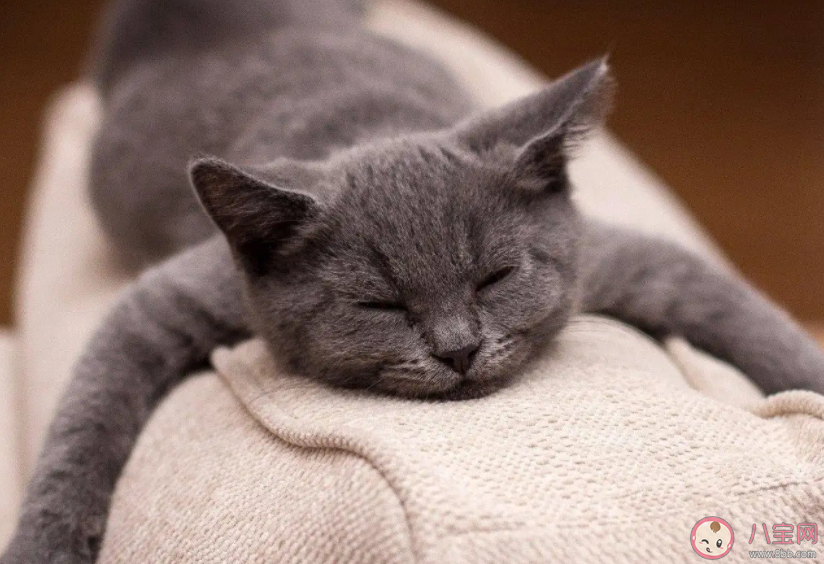 為什么有時睡覺會越睡越累 怎樣才能睡得舒服 為什么有時睡覺會越睡越累 怎樣才能睡得舒服